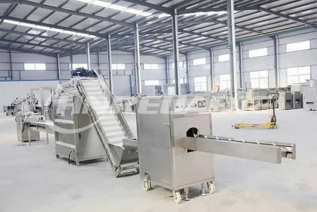 Onion Crispy Processing Line