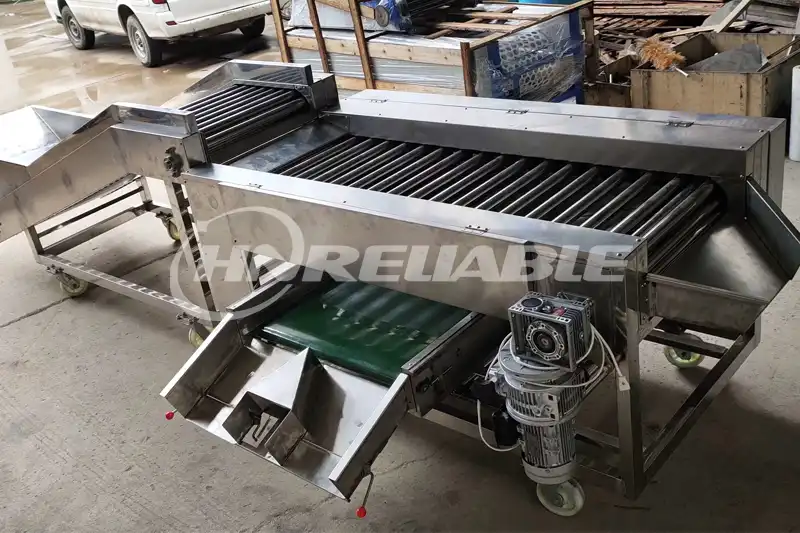 Onion Grading Machine