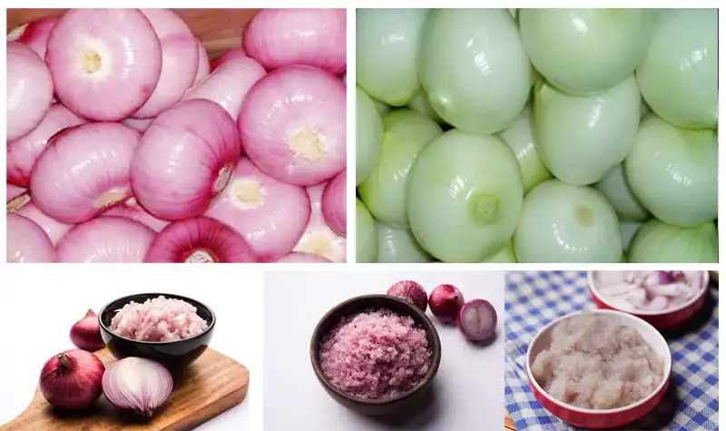onion paste