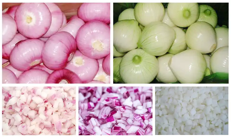 onion dicer cutting