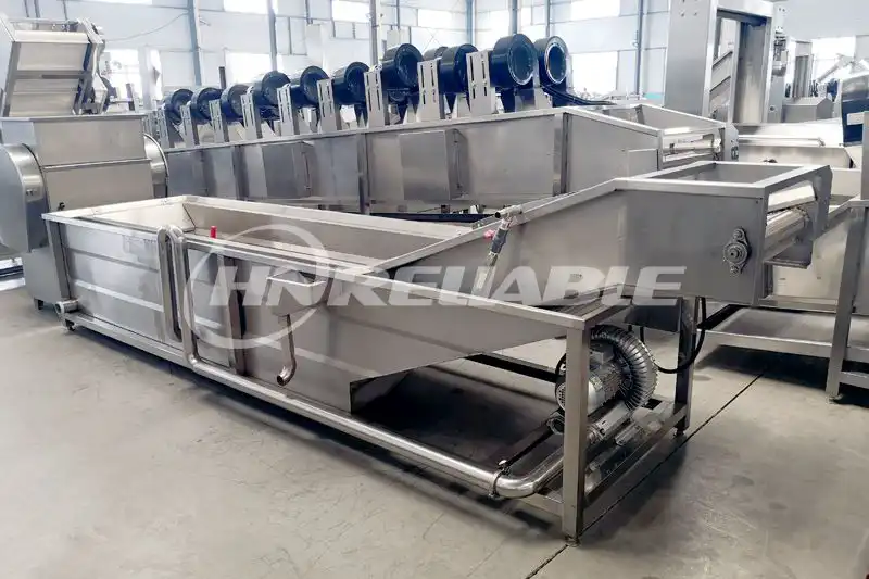 Onion Continuous Dehydrator