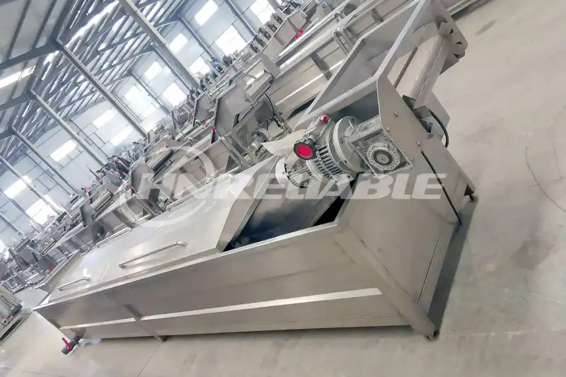 Continuous Onion Fryer Machine